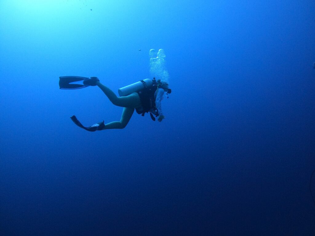 SCUBA diver swimming in water