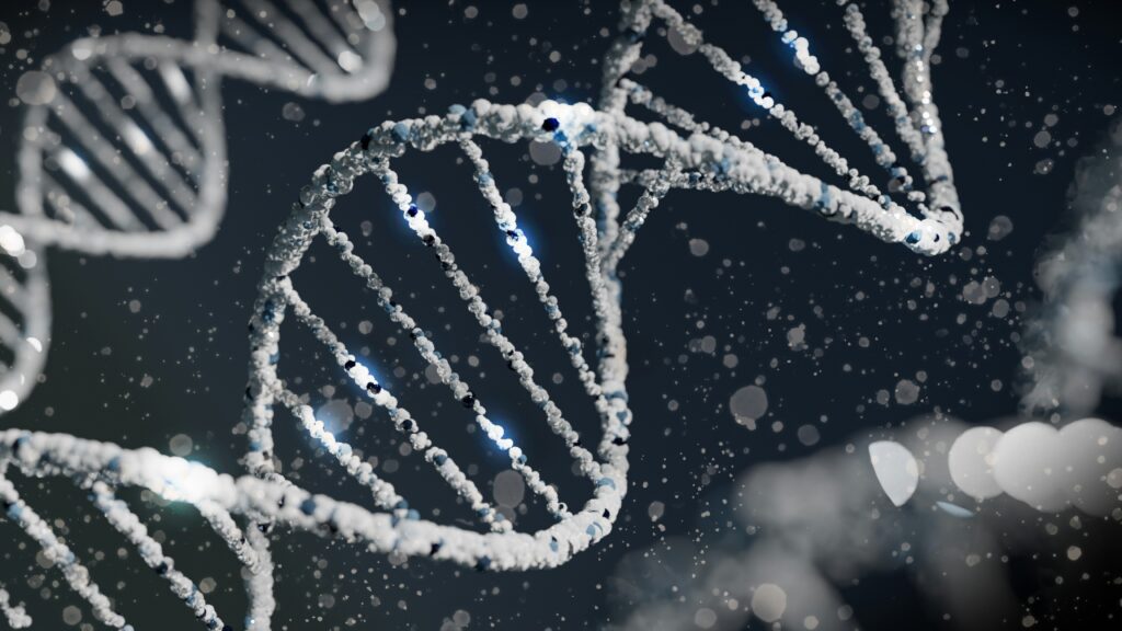 Diving into Brain Diversity: Analyzing RNA to Study Gene Expression
